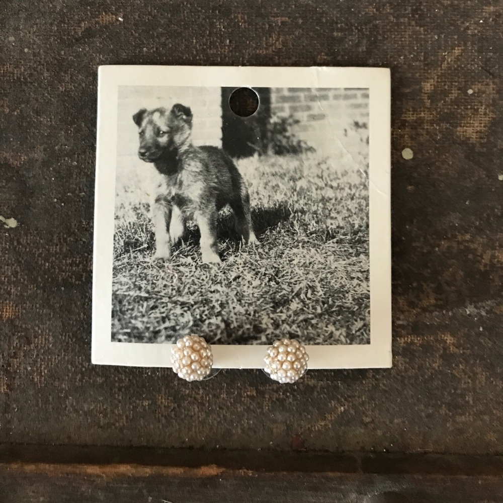 Anthropologie beaded stud earrings